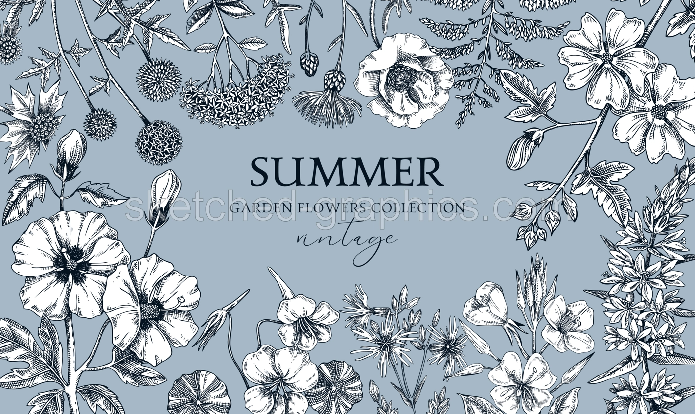 Hand drawn summer background. Garden flowers frame design in sketch style. Botanical illustrations isolated on white background. Floral banner for prints, cards, posters Illustration